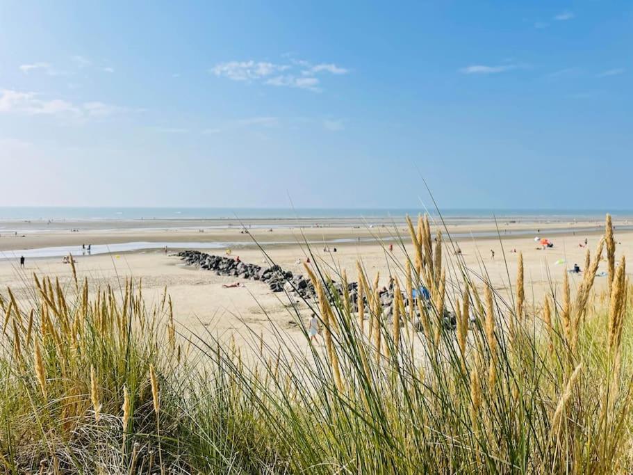 Merlidunes Proche De La * Merlimont-Plage